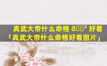 真武大帝什么命格 🌲 好看「真武大帝什么命格好看图片」